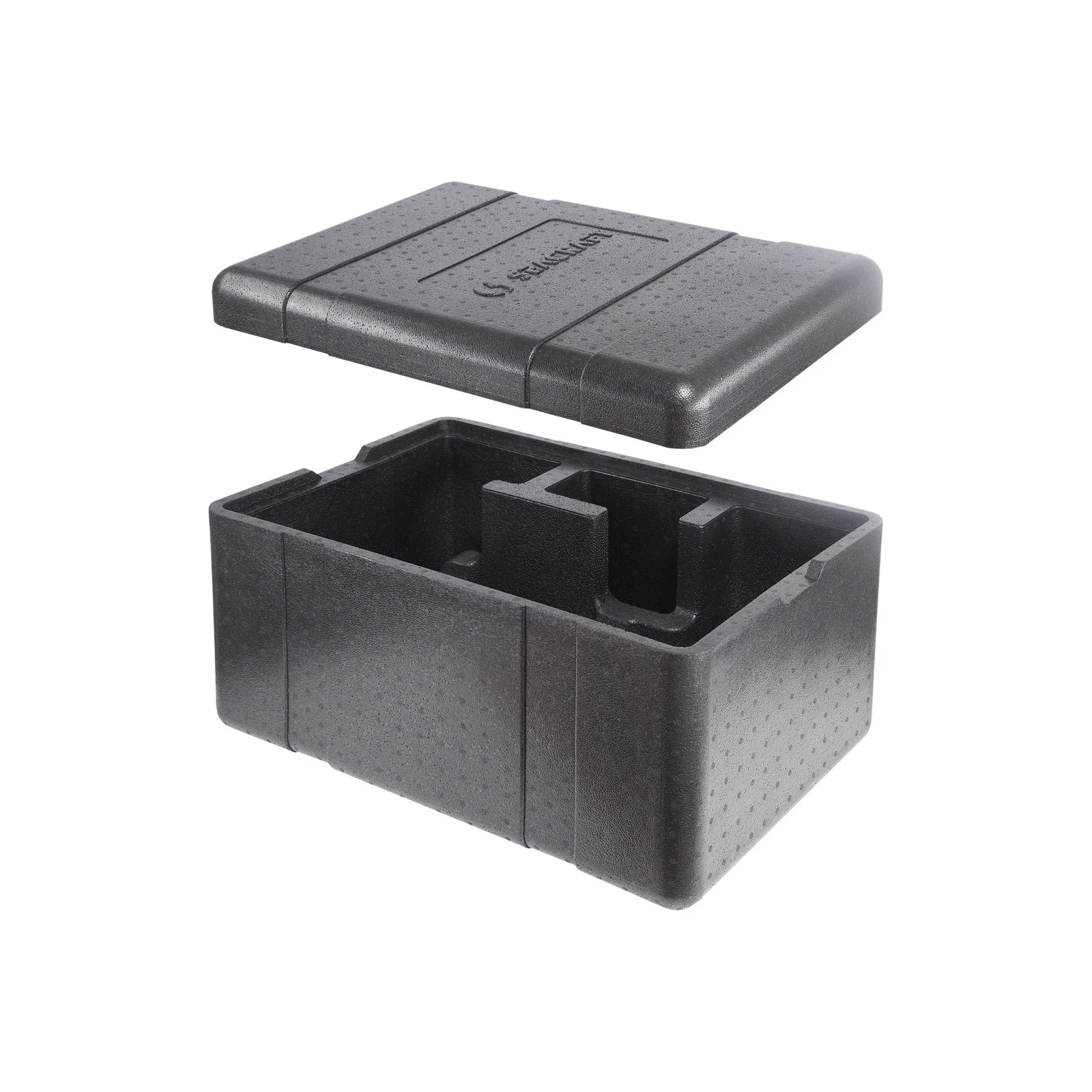 Rigid thermal insulated EPP transport container dedicated for GO! DPV